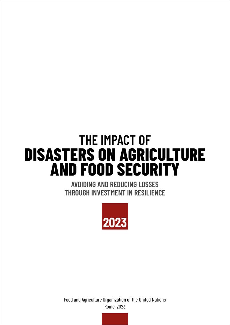 《灾害对农业和粮食安全的影响报告》 - 第3页预览图
