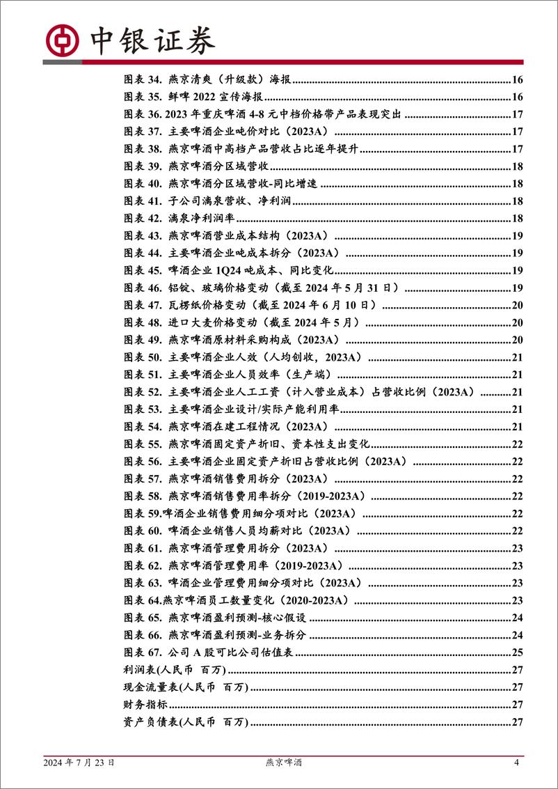 《燕京啤酒(000729)持续推进降本增效，产品线有望多点开花-240723-中银证券-29页》 - 第4页预览图