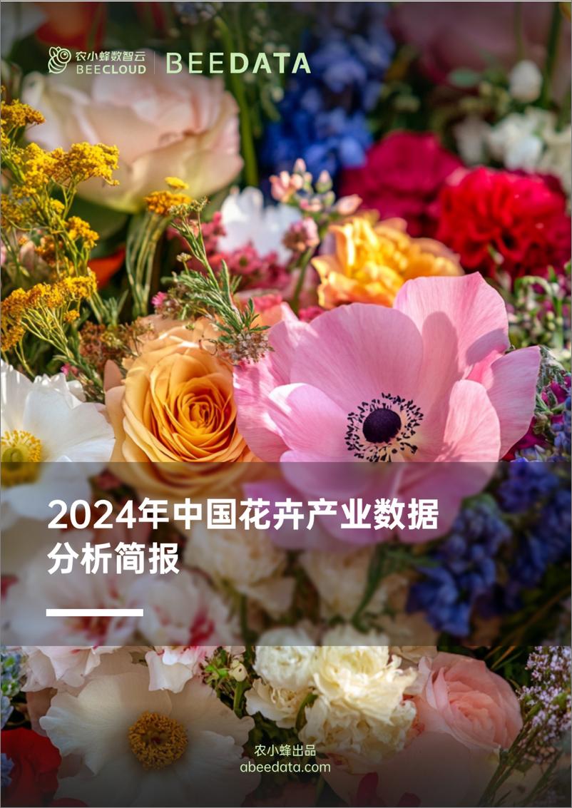 《农小蜂-2024年中国花卉产业数据分析简报》 - 第1页预览图