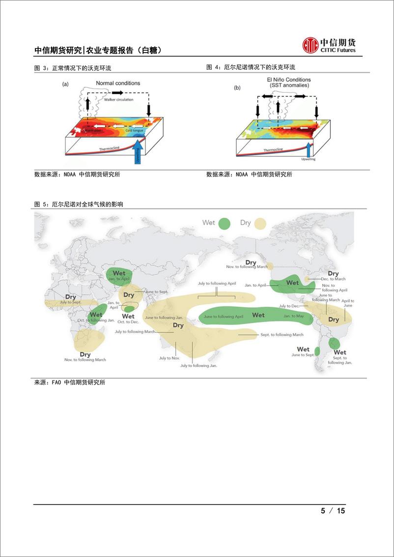 《农业专题报告（白糖）：厄尔尼诺或成原糖潜在推手-20230621-中信期货-15页》 - 第6页预览图