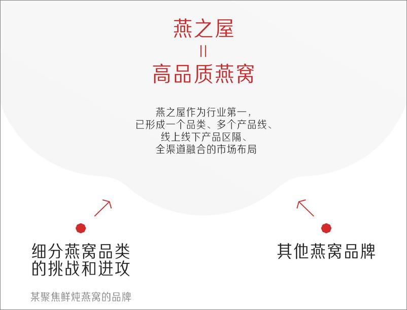 《即食燕窝品牌滋补品2024年度战略咨询方案【品牌全案】【爆品打造】【超级单品】【种草营销】》 - 第8页预览图