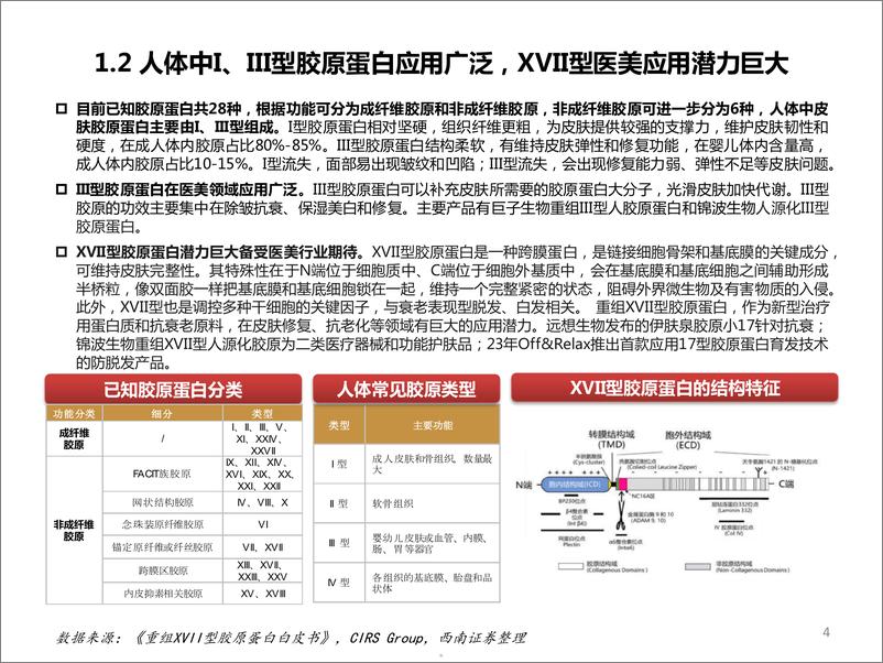 《2024胶原蛋白市场规模应用领域细分赛道及公司对比分析报告》 - 第4页预览图