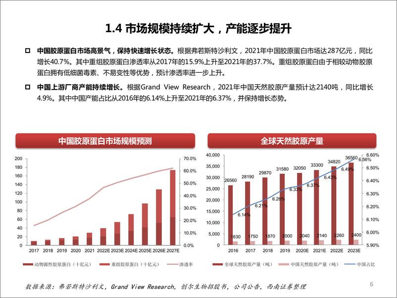 《2024胶原蛋白市场规模应用领域细分赛道及公司对比分析报告》 - 第6页预览图