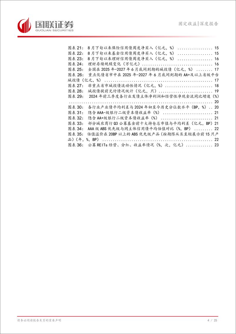 《信用债2025年度投资策略：化债新周期，何处占先机？-241204-国联证券-26页》 - 第5页预览图