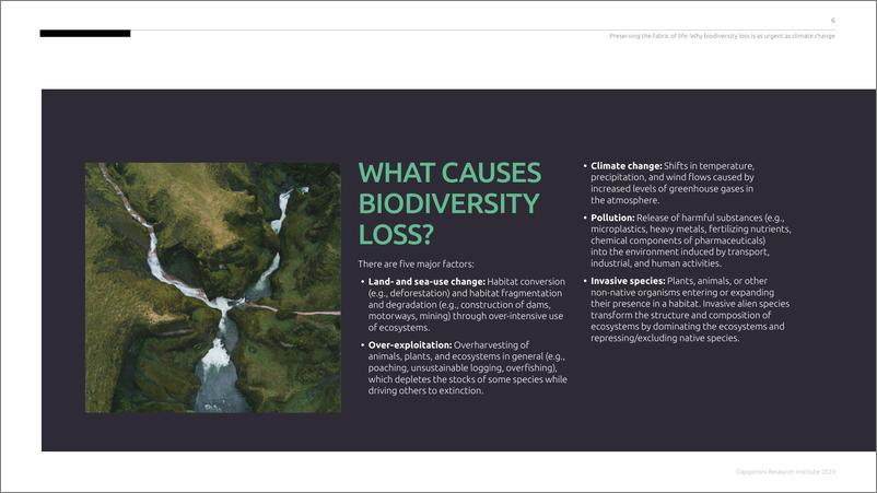 《Capgemini-保护生命结构：为什么生物多样性的丧失与气候变化一样紧迫（英）-2023-76页》 - 第7页预览图