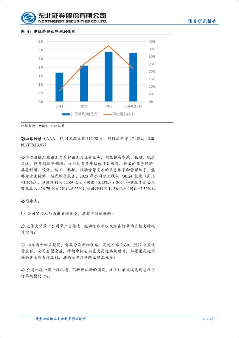 《东北固收转债分析：2025年1月十大转债-250102-东北证券-28页》 - 第6页预览图