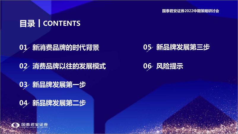 《产业研究2022年中期策略：新消费品牌的成长路径-20220615-国泰君安-41页》 - 第5页预览图