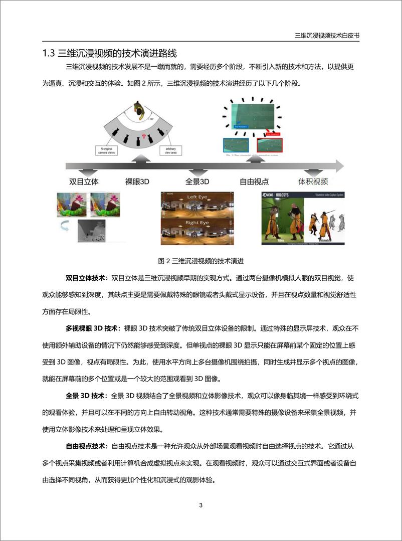 《三维沉浸视频技术白皮书_2024_(1)》 - 第8页预览图