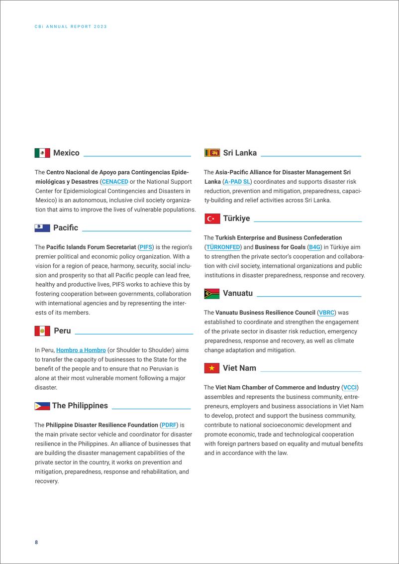 《UNDP-连接商业倡议2023年度报告（英）-29页》 - 第8页预览图