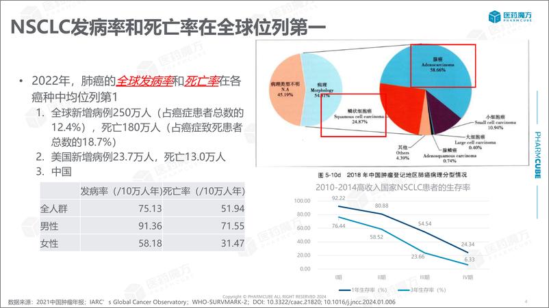 《医药魔方_2024非小细胞肺癌临床指南洞察报告》 - 第4页预览图