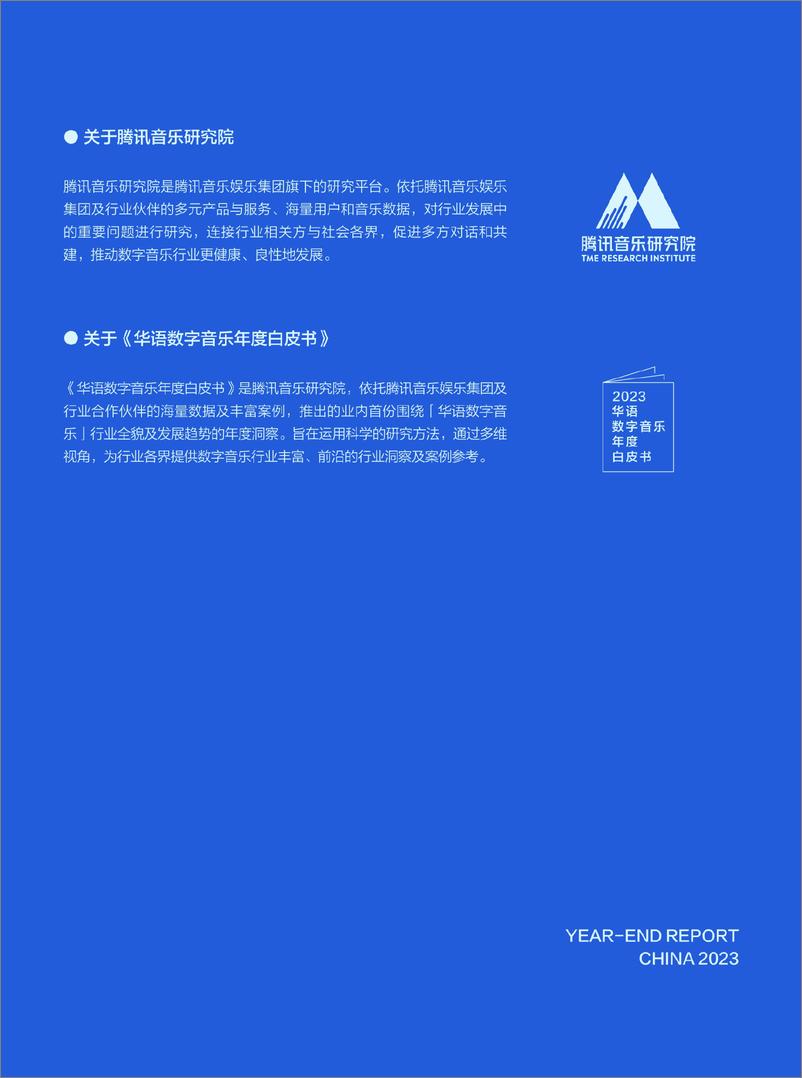 《华语数字音乐年度白皮书》 - 第2页预览图