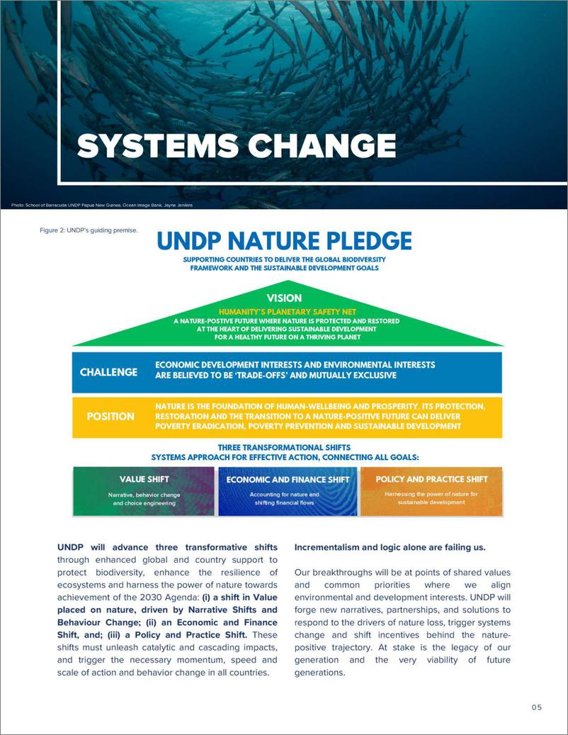 《UNDP-联合国开发计划署自然承诺（英）-2024-27页》 - 第7页预览图