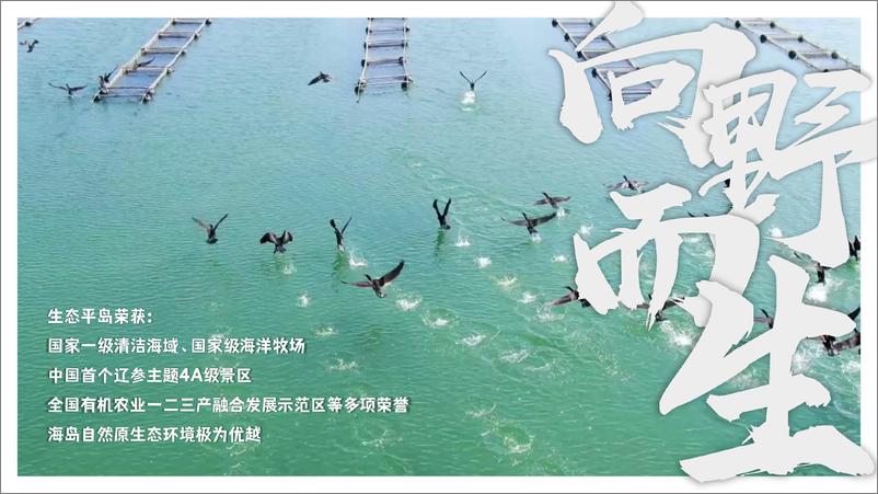 《2024主题海岛文旅项目内容规划及项目运营报告【旅游IP】【沉浸式文旅打造】》 - 第3页预览图