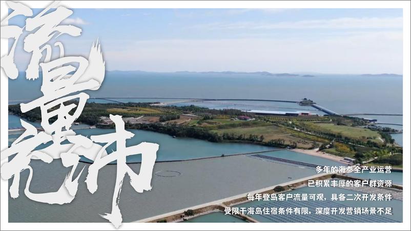 《2024主题海岛文旅项目内容规划及项目运营报告【旅游IP】【沉浸式文旅打造】》 - 第6页预览图