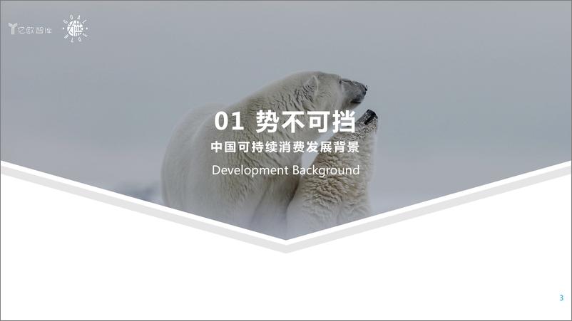 《2022双碳目标下的中国青年可持续消费研究报告-亿欧智库》 - 第3页预览图