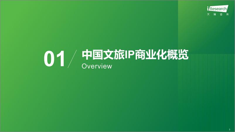 《2024年中国文旅IP商业化报告-46页》 - 第3页预览图