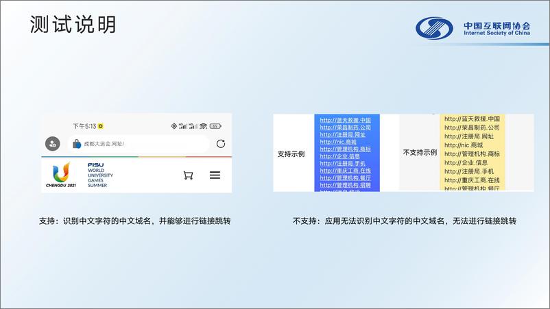 《中文域名应用测试报告（2023）-中国互联网协会-56页》 - 第6页预览图