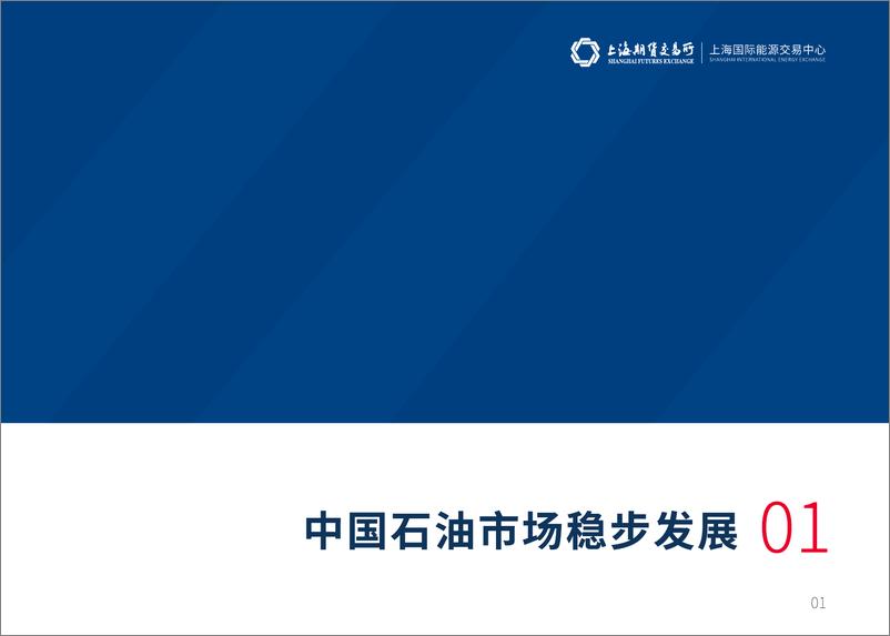 《2024年中国石油市场概览-56页》 - 第2页预览图