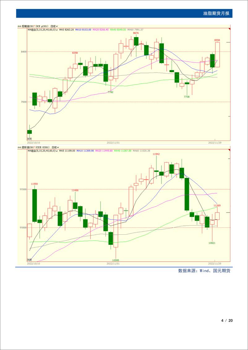 《油脂期货月报：国内供应趋松，12月油脂难现趋势性行情-20221129-国元期货-20页(1)》 - 第5页预览图