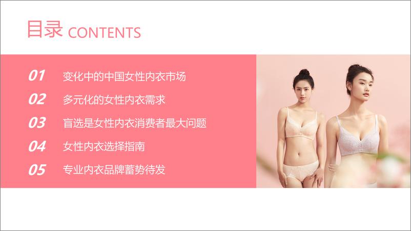 《中国女性内衣白皮书-都市丽人》 - 第3页预览图