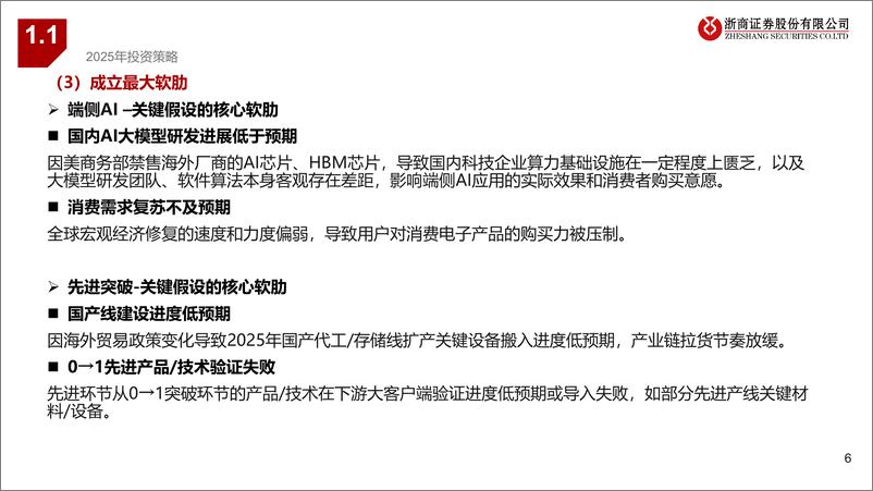 《电子行业年度策略报告姊妹篇：2025年电子行业风险排雷手册-241217-浙商证券-16页》 - 第6页预览图