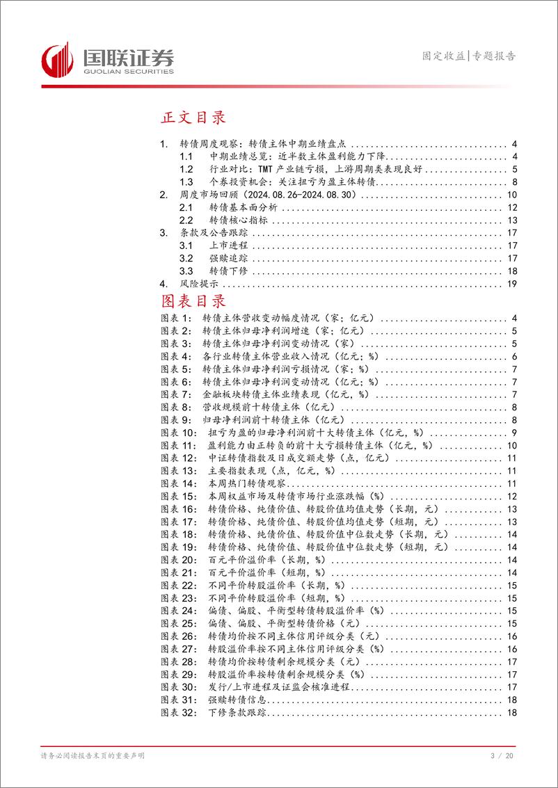 《转债主体中报盘点：关注扭亏低价转债-240904-国联证券-21页》 - 第4页预览图