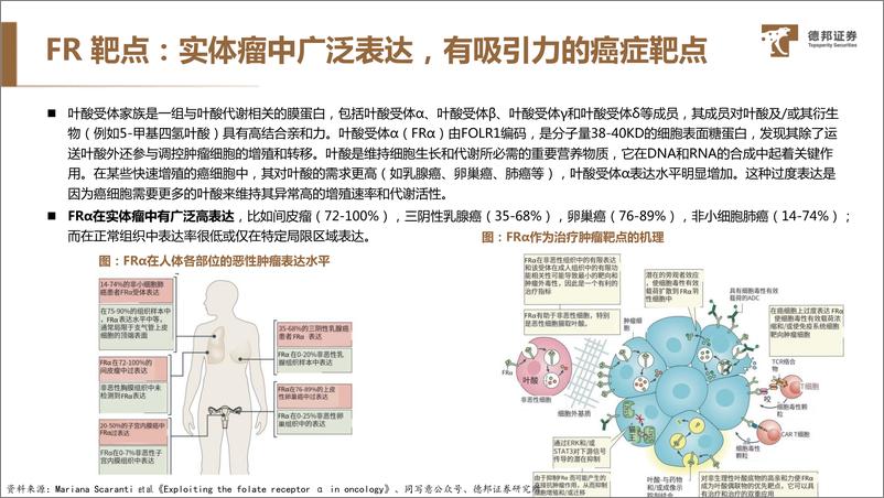 《德邦证券-靶点图鉴系列报告：大交易频频，叶酸受体-FRα-ADC有什么魅力？》 - 第5页预览图