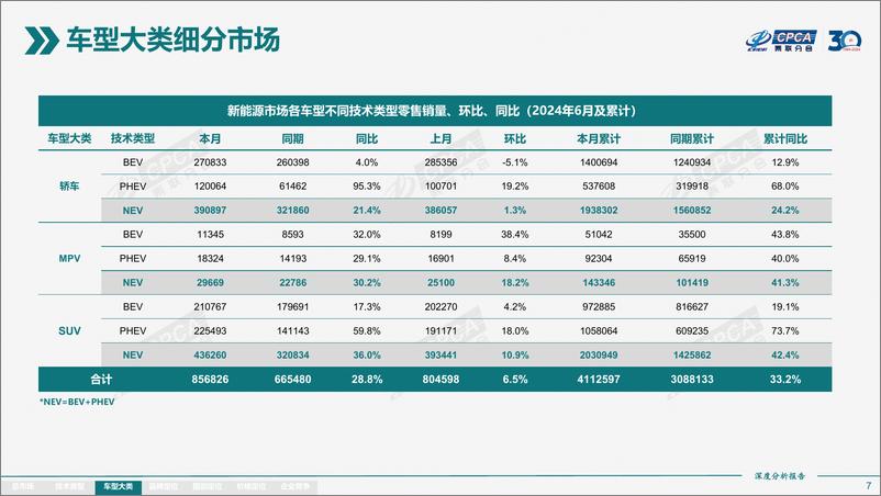 《2024年6月份全国新能源市场深度分析报告》 - 第7页预览图