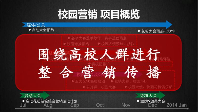 《2016-终端云花粉经营整合营销传播方案》 - 第3页预览图