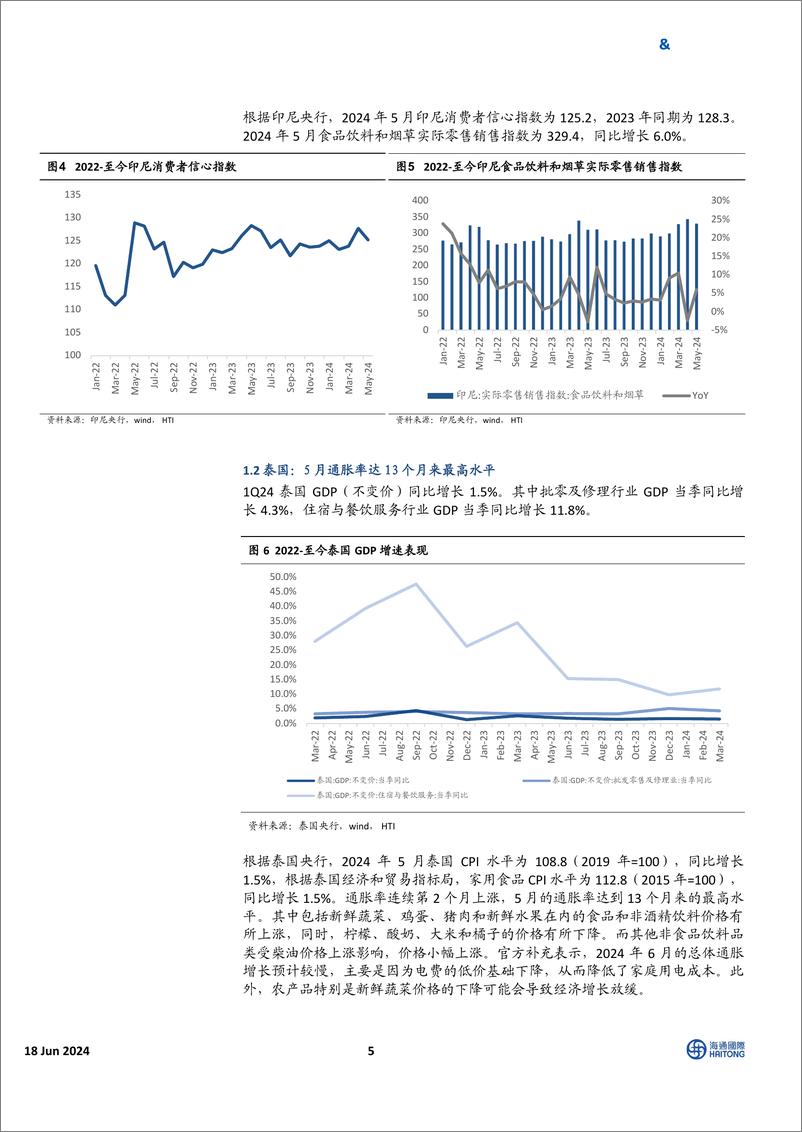 《HTI东南亚消费行业5月跟踪报告：多数国家通胀水平上升，消费股表现优于大盘-240618-海通国际-30页》 - 第5页预览图