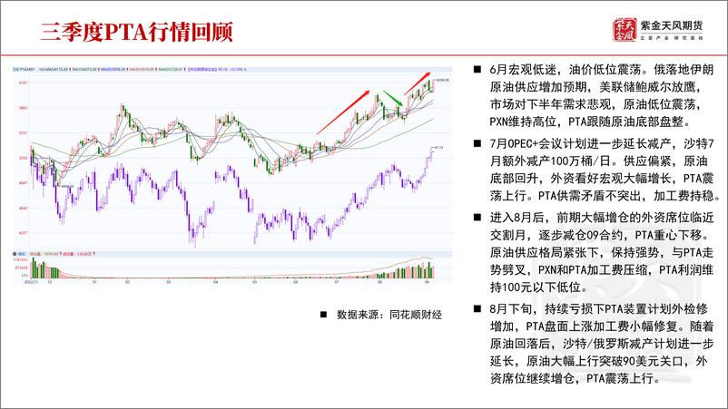 《聚酯四季报：供需转弱，成本偏强-20230918-紫金天风期货-44页》 - 第7页预览图