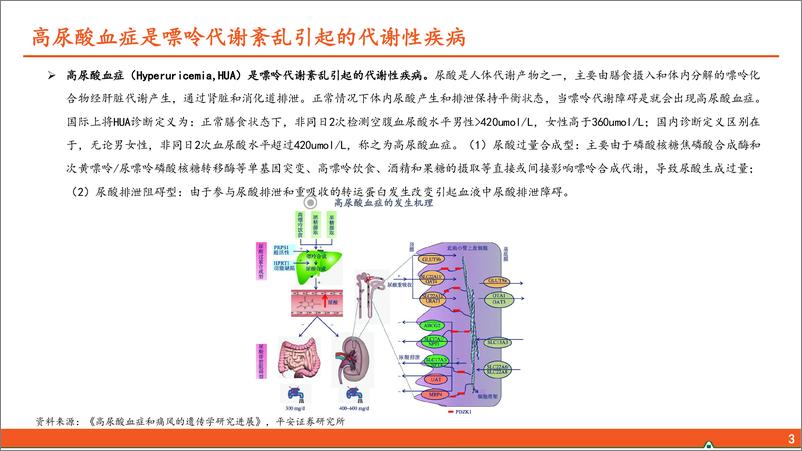 《高尿酸血症和痛风行业全景图：国内千万痛风患者群体，亟待“疗效佳安全优”新药》 - 第4页预览图