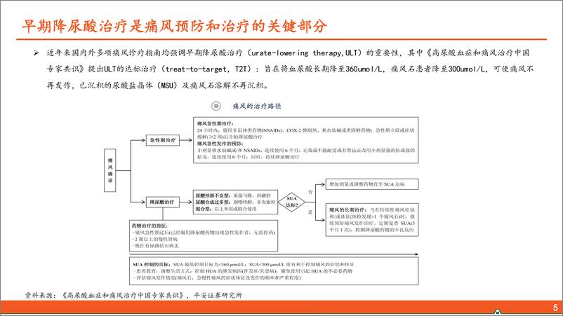 《高尿酸血症和痛风行业全景图：国内千万痛风患者群体，亟待“疗效佳安全优”新药》 - 第6页预览图