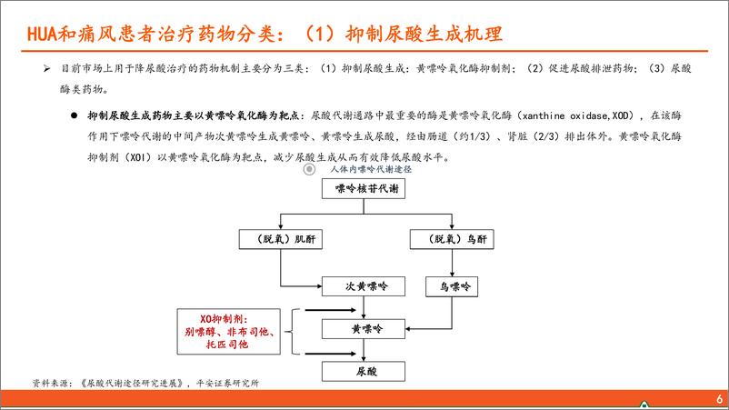 《高尿酸血症和痛风行业全景图：国内千万痛风患者群体，亟待“疗效佳安全优”新药》 - 第7页预览图