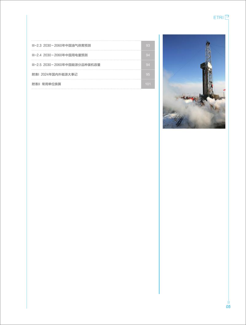 《中石油经研院能源数据手册_2025年_》 - 第6页预览图