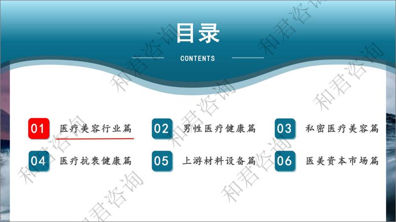 《和君咨询_中国医疗美容健康行业深度研究报告》 - 第3页预览图