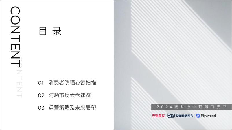 《2024防晒行业趋势白皮书-飞未》 - 第2页预览图