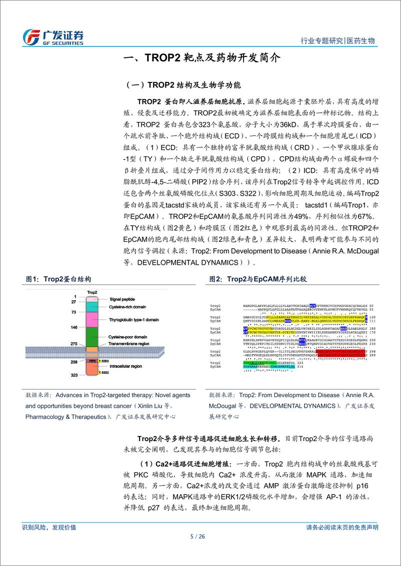 《医药生物行业：TROP2＋ADC行业专题-241226-广发证券-26页》 - 第5页预览图