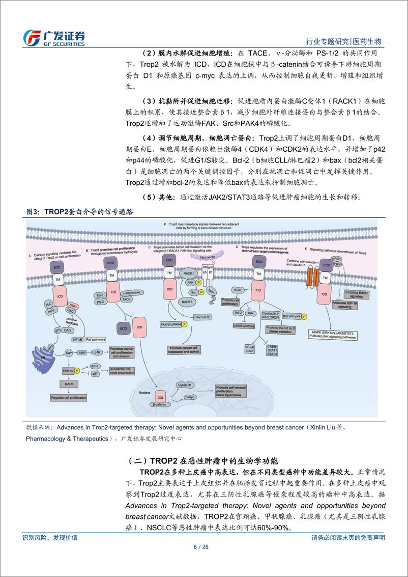 《医药生物行业：TROP2＋ADC行业专题-241226-广发证券-26页》 - 第6页预览图