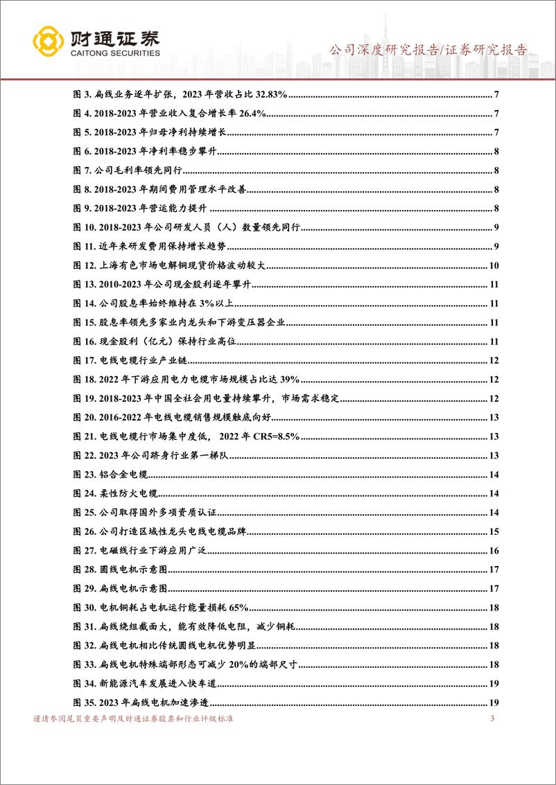 《金杯电工(002533)扁电磁线领军龙头，受益于电网投资加速-240527-财通证券-33页》 - 第3页预览图