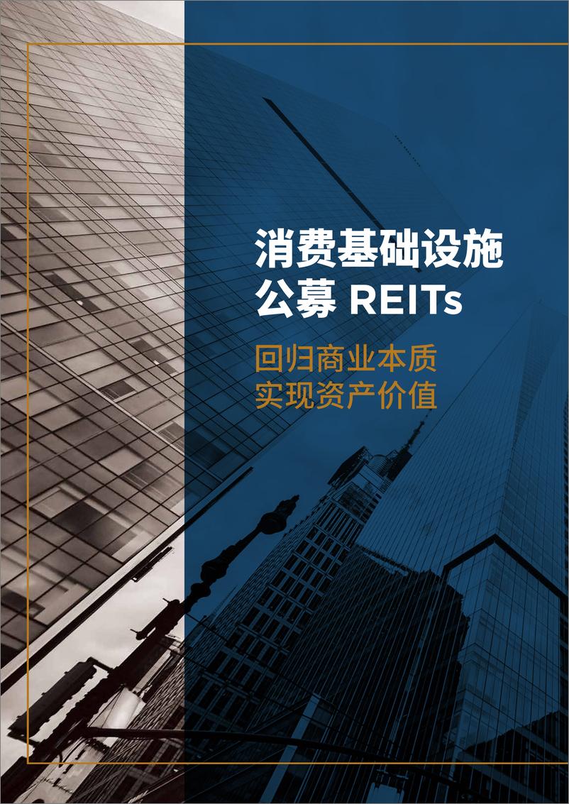 《消费基础设施公募REITs：回归商业本质，实现资产价值-戴德梁行-2024-50页》 - 第2页预览图