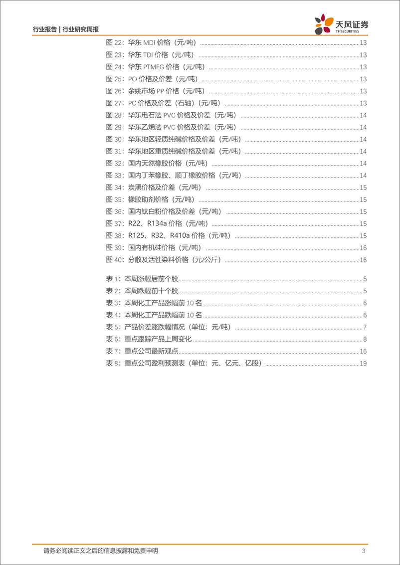 《基础化工行业工信部等三部门：加快清洁低碳氢替代应用，丙烯酸、乙二醇价格上涨-250105-天风证券-21页》 - 第3页预览图