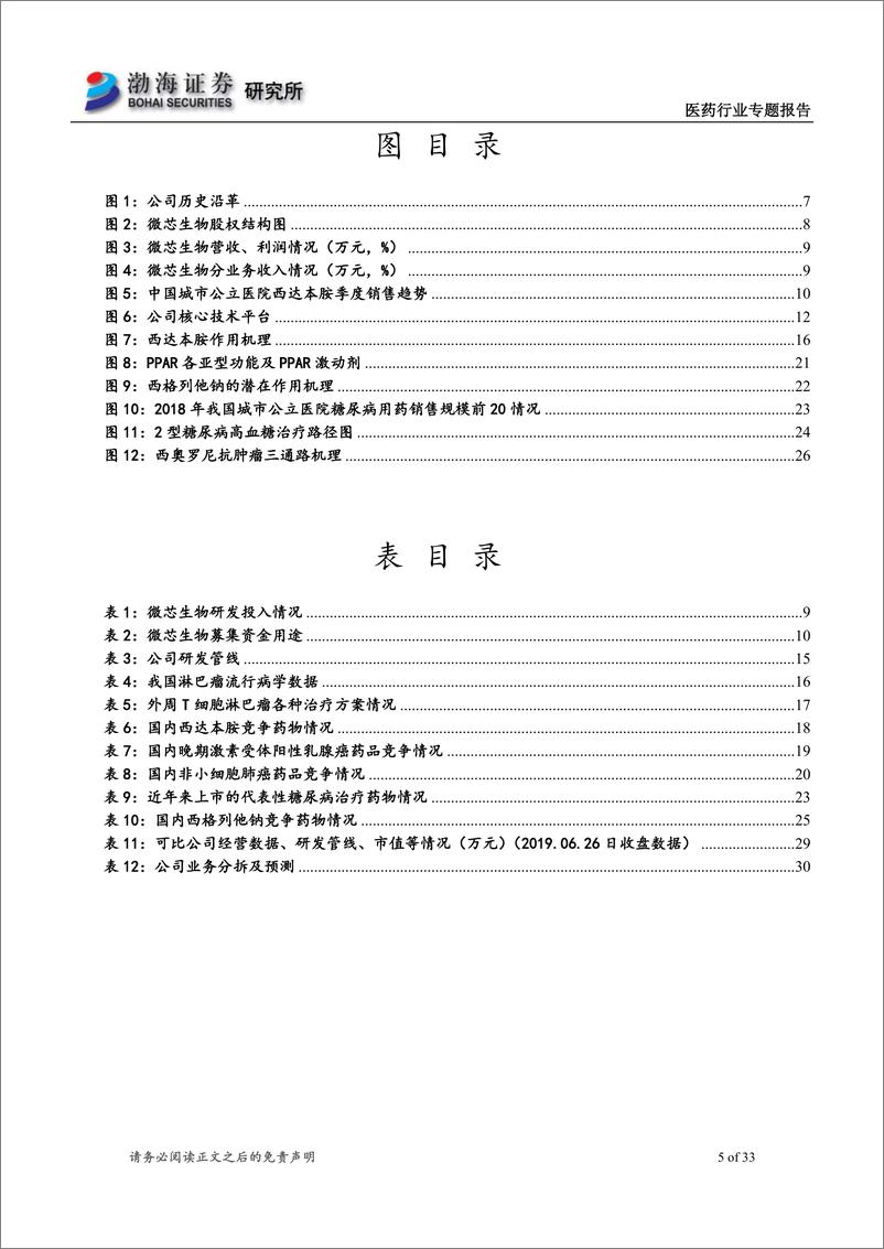 《医药生物行业科创板重点公司系列：微芯生物-20190627-渤海证券-33页》 - 第6页预览图