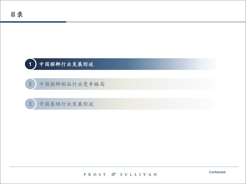 《2024中国卷烟及槟榔市场蓝皮书-20页》 - 第2页预览图