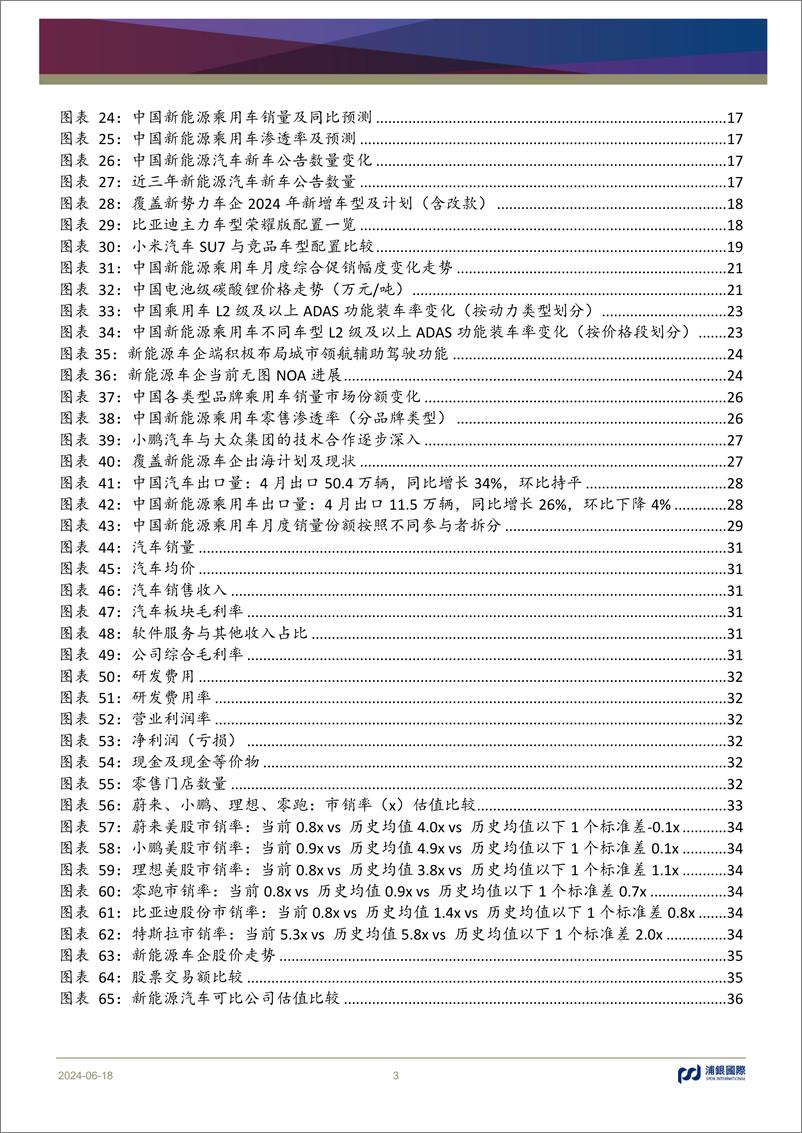 《浦银国际证券-新能源汽车行业2024年中期展望：渗透率保持上扬，竞争中实现成长》 - 第3页预览图