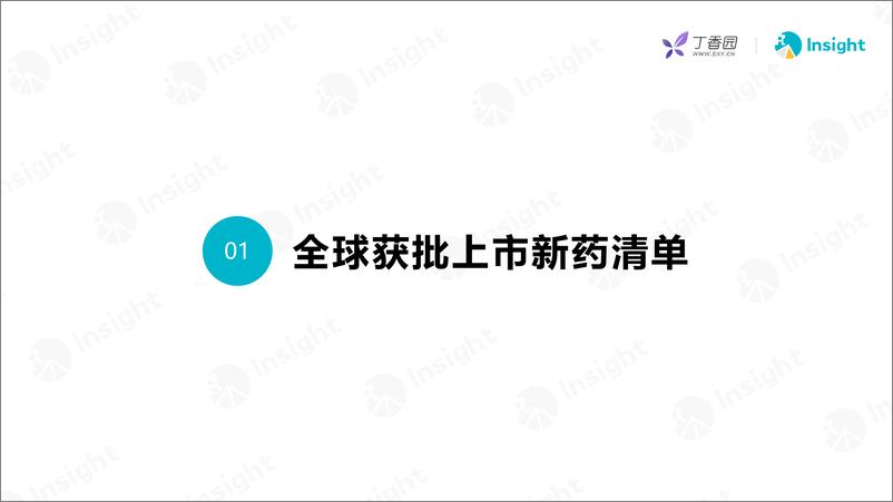 《丁香园_2024年7月全球新药月度报告-数据篇》 - 第3页预览图