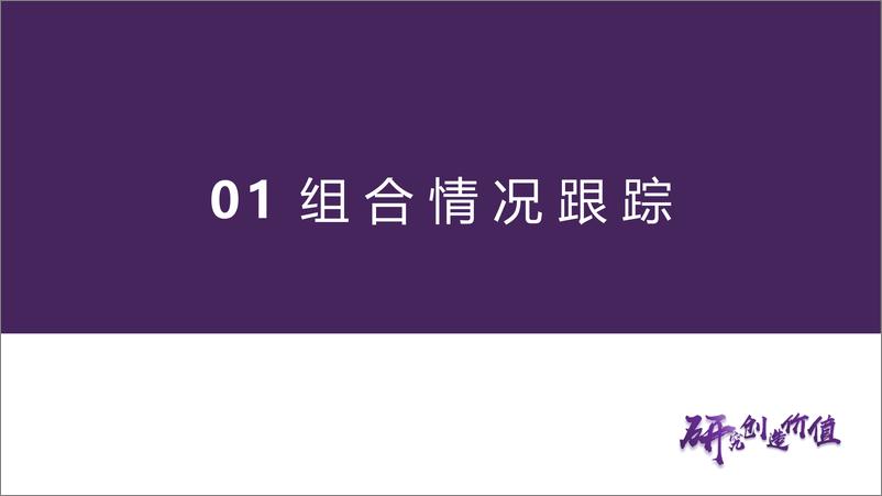 《出海组合月报：五月相对Wind出海指数超额收益1.56%25-240605-华鑫证券-19页》 - 第5页预览图