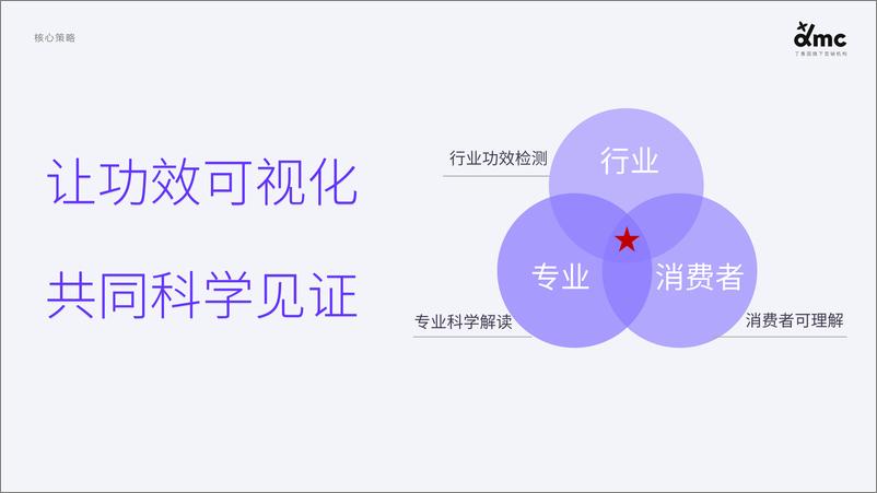 《国货功效护肤品牌HBNxdmc三八营销传播复盘》 - 第5页预览图