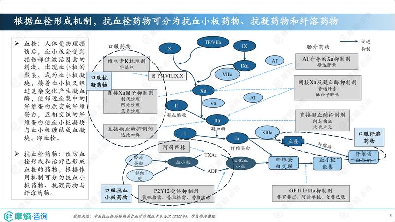 《2024年市场研究专题报告九-口服抗栓药物》 - 第3页预览图