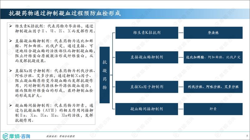 《2024年市场研究专题报告九-口服抗栓药物》 - 第5页预览图